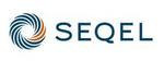 Executive Search - SEQEL Partners